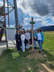 Wieza widokowa Desznica6